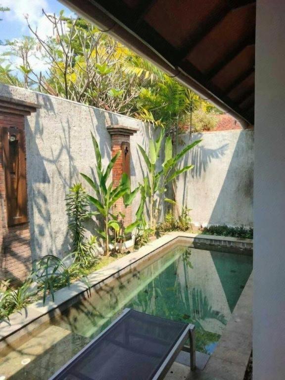 The Edelweiss Hideaway Villa Solo Экстерьер фото